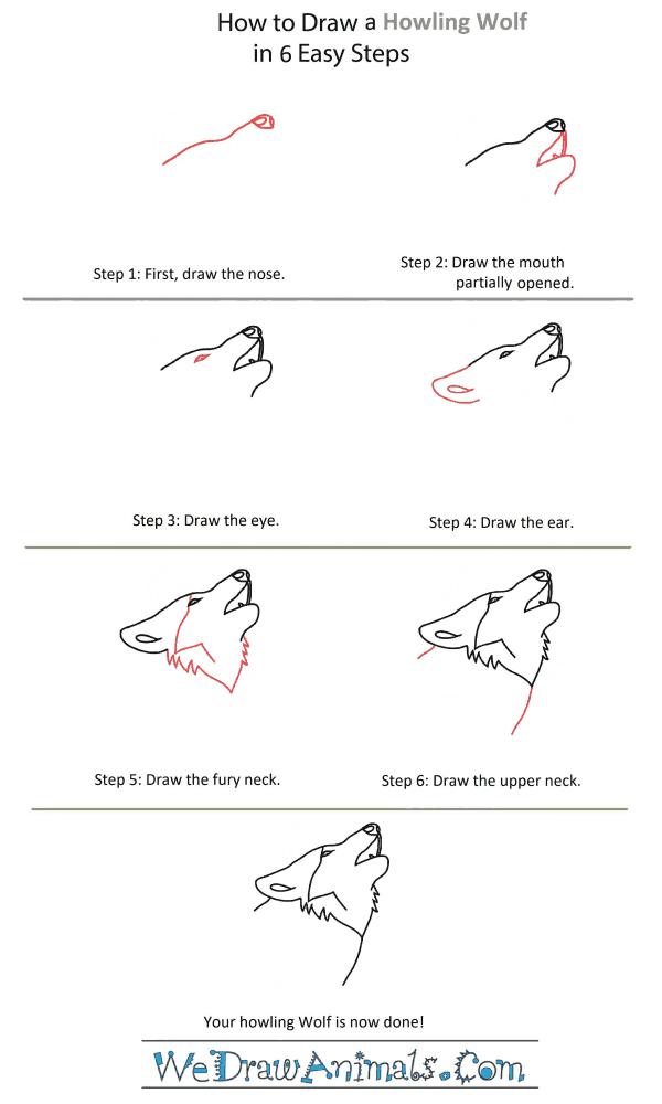 How to Draw a Wolf Howling Head - Step-by-Step Tutorial