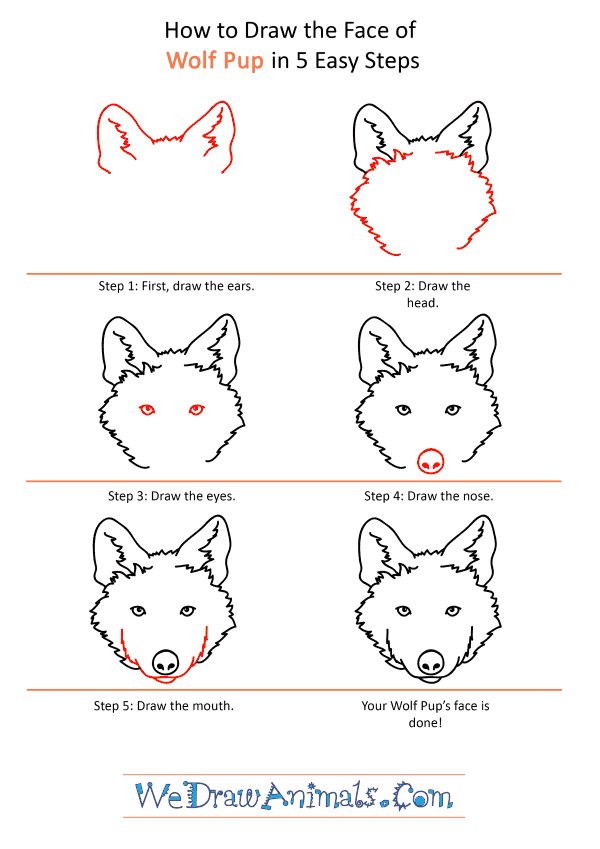 How to Draw a Wolf Pup Face - Step-by-Step Tutorial