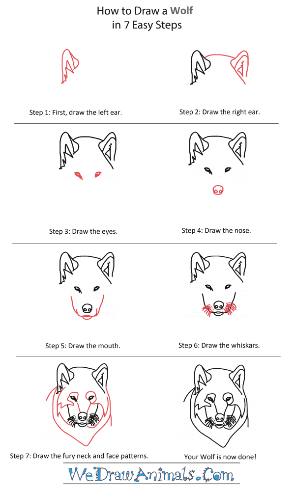 How to Draw a Wolf Pup Head - Step-by-Step Tutorial