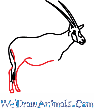 How To Draw An Arabian Oryx