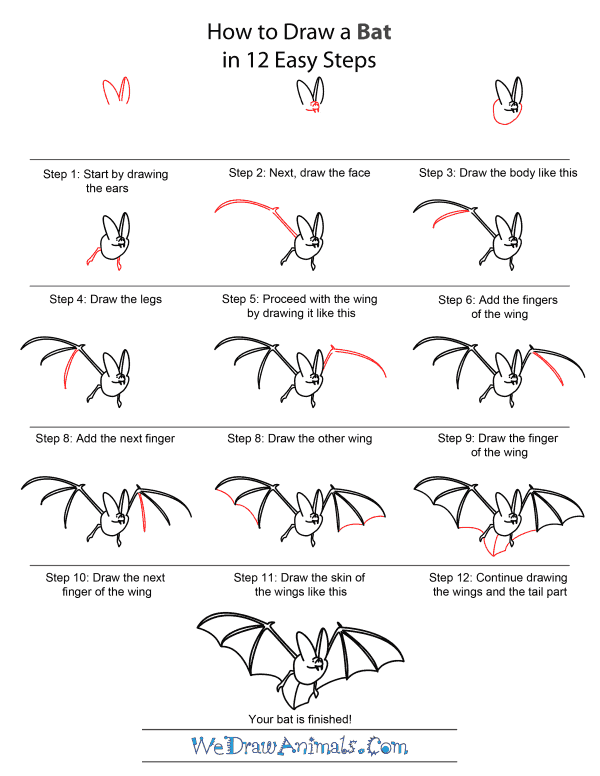 How to Draw A Bat - Quick Step-by-Step Tutorial