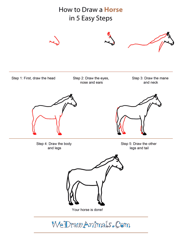 Tutorial How To Draw A Horse