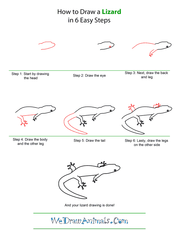How to Draw A Lizard - Quick Step-by-Step Tutorial