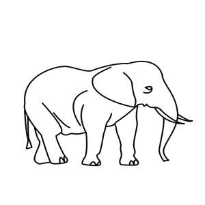 How to Draw An Elephant - Step-by-Step Tutorial