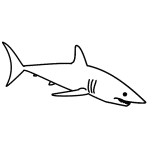 How To Draw A Baby Shark