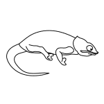 How to Draw a Chameleon