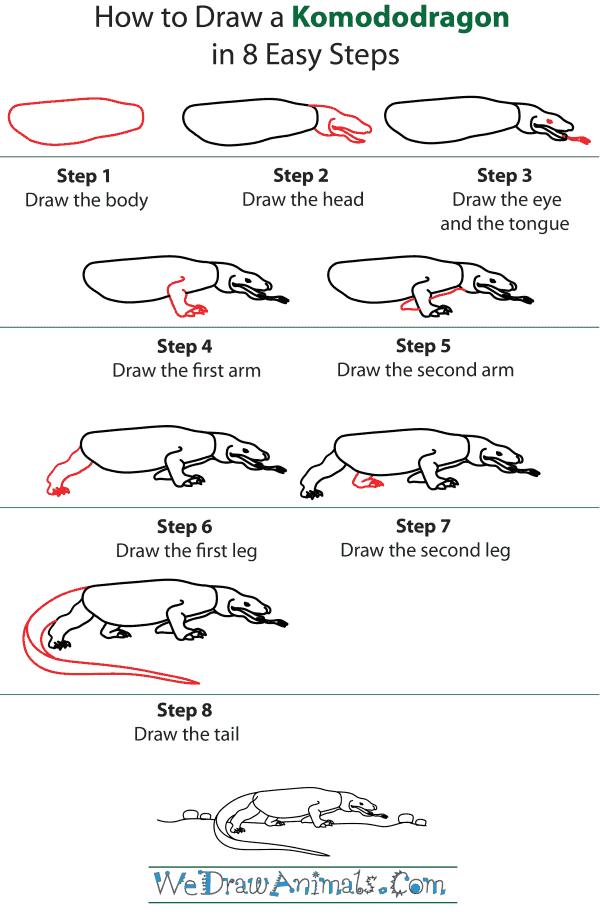 How To Draw A Komodo Dragon - Step-by-Step Tutorial