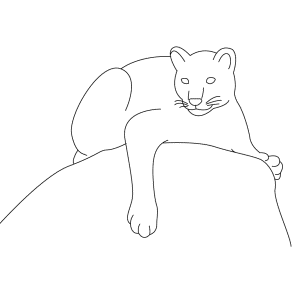 How To Draw A Mountain Lion Cartoon