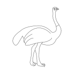 How to Draw an Ostrich