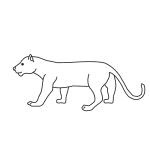 How to Draw a Panther