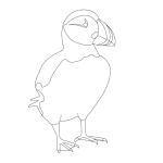 Featured image of post How To Draw A Puffin Easy I love the idea of cartoonists sh