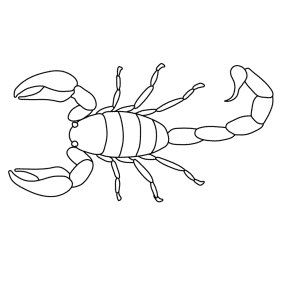 How To Draw A Scorpion - Step-by-Step Tutorial