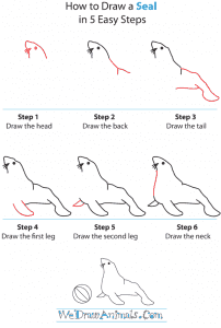 How to Draw a Seal