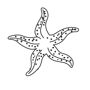 How To Draw A Starfish - Step-by-Step Tutorial
