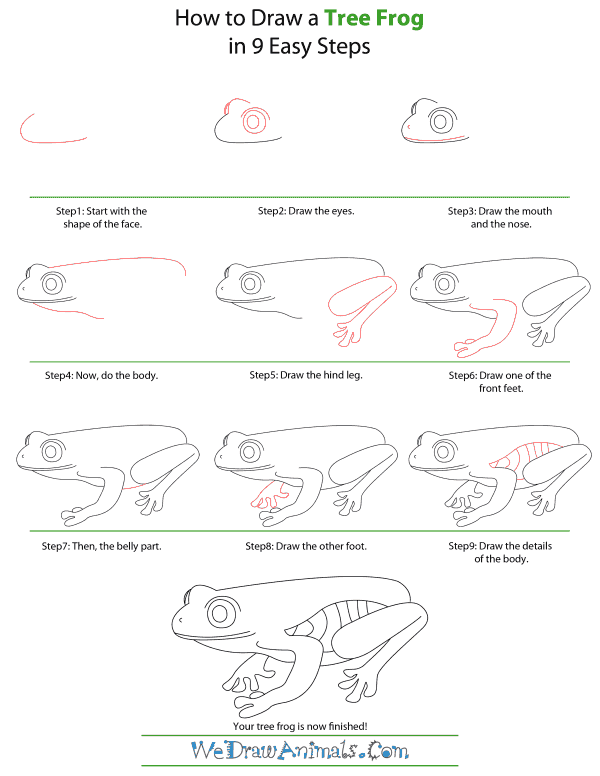 How To Draw A Tree Frog - Step-by-Step Tutorial