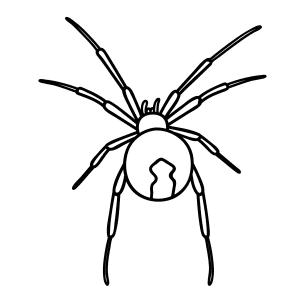 How To Draw A Black Widow Spider - Step-by-Step Tutorial