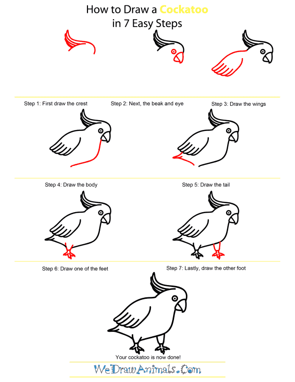 How To Draw A Cockatoo - Step-by-Step Tutorial