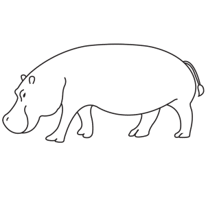 How To Draw A Hippopotamus - Step-by-Step Tutorial