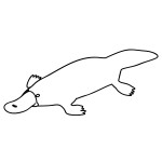 How to Draw a Platypus