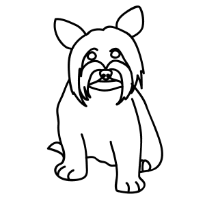 How To Draw A Yorkie Dog - Step-by-Step Tutorial