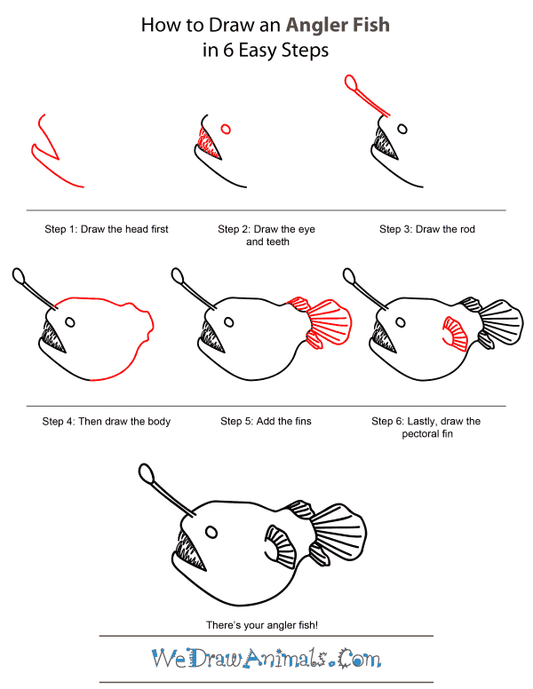How To Draw An Angler Fish - Step-by-Step Tutorial