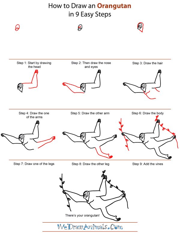 How To Draw An Orangutan - Step-by-Step Tutorial
