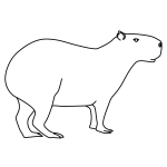 How to draw CAPYBARA step by step, VERY EASY and fast 