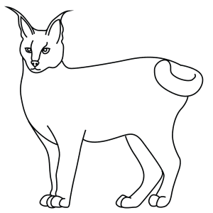 How To Draw A Caracal - Step-By-Step Tutorial