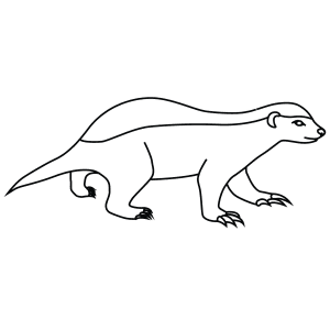 How To Draw A Honey Badger - Step-By-Step Tutorial