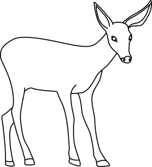 How To Draw A Mule Deer - Step-By-Step Tutorial