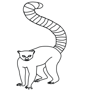 How To Draw A Ring Tailed Lemur - Step-By-Step Tutorial