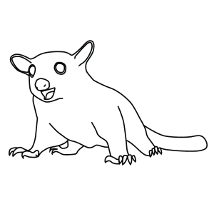 How To Draw A Sugar Glider - Step-By-Step Tutorial