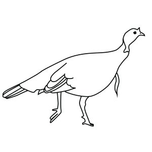 How To Draw A Wild Turkey - Step-By-Step Tutorial