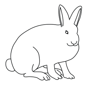 How To Draw An Arctic Hare - Step-By-Step Tutorial