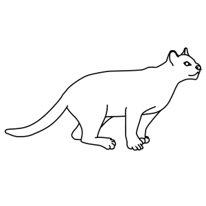 How To Draw An Ocelot - Step-By-Step Tutorial