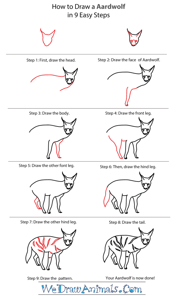 How To Draw An Aardwolf - Step-By-Step Tutorial
