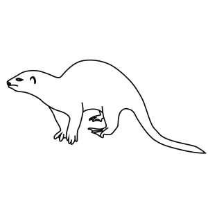 How To Draw An African Clawless Otter - Step-By-Step Tutorial