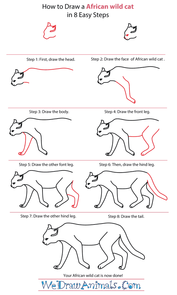 How To Draw An African wild cat - Step-By-Step Tutorial
