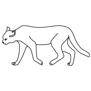 How To Draw An African Wild Cat - Step-By-Step Tutorial