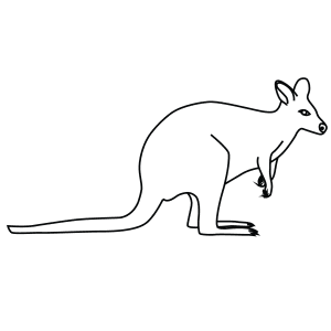 How To Draw An Agile Wallaby - Step-By-Step Tutorial