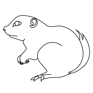 How To Draw An Antelope Ground Squirrel - Step-By-Step Tutorial