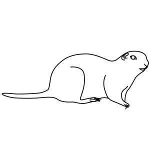 How To Draw An Arctic Ground Squirrelt - Step-By-Step Tutorial
