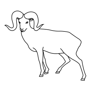 How To Draw An Argalis - Step-By-Step Tutorial
