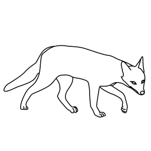 How To Draw An Azara'S Zorro - Step-By-Step Tutorial