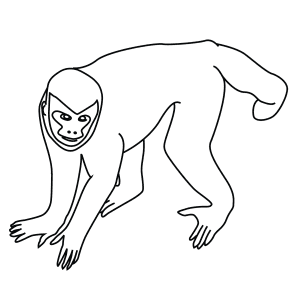 How To Draw A Black Capped Capuchin - Step-By-Step Tutorial