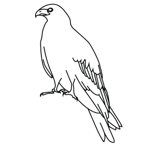 How To Draw A Black Kite - Step-By-Step Tutorial