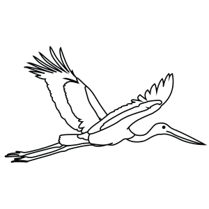 How To Draw A Black Necked Stork - Step-By-Step Tutorial