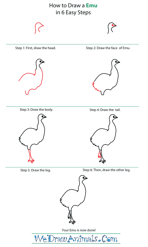 How To Draw An Emu - Step-By-Step Tutorial