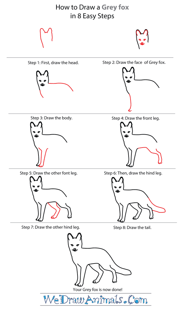 How To Draw A Grey fox - Step-By-Step Tutorial