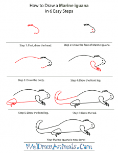 How to Draw a Marine Iguana